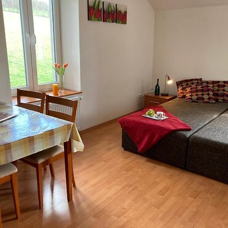 Horsky Apartman V Karlovicich Lejlighed Karlovice  Eksteriør billede