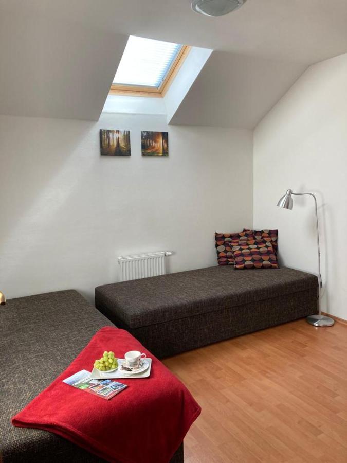 Horsky Apartman V Karlovicich Lejlighed Karlovice  Eksteriør billede